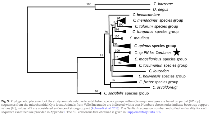 Implementación de sistemas automáticos de monitoreo sonoro